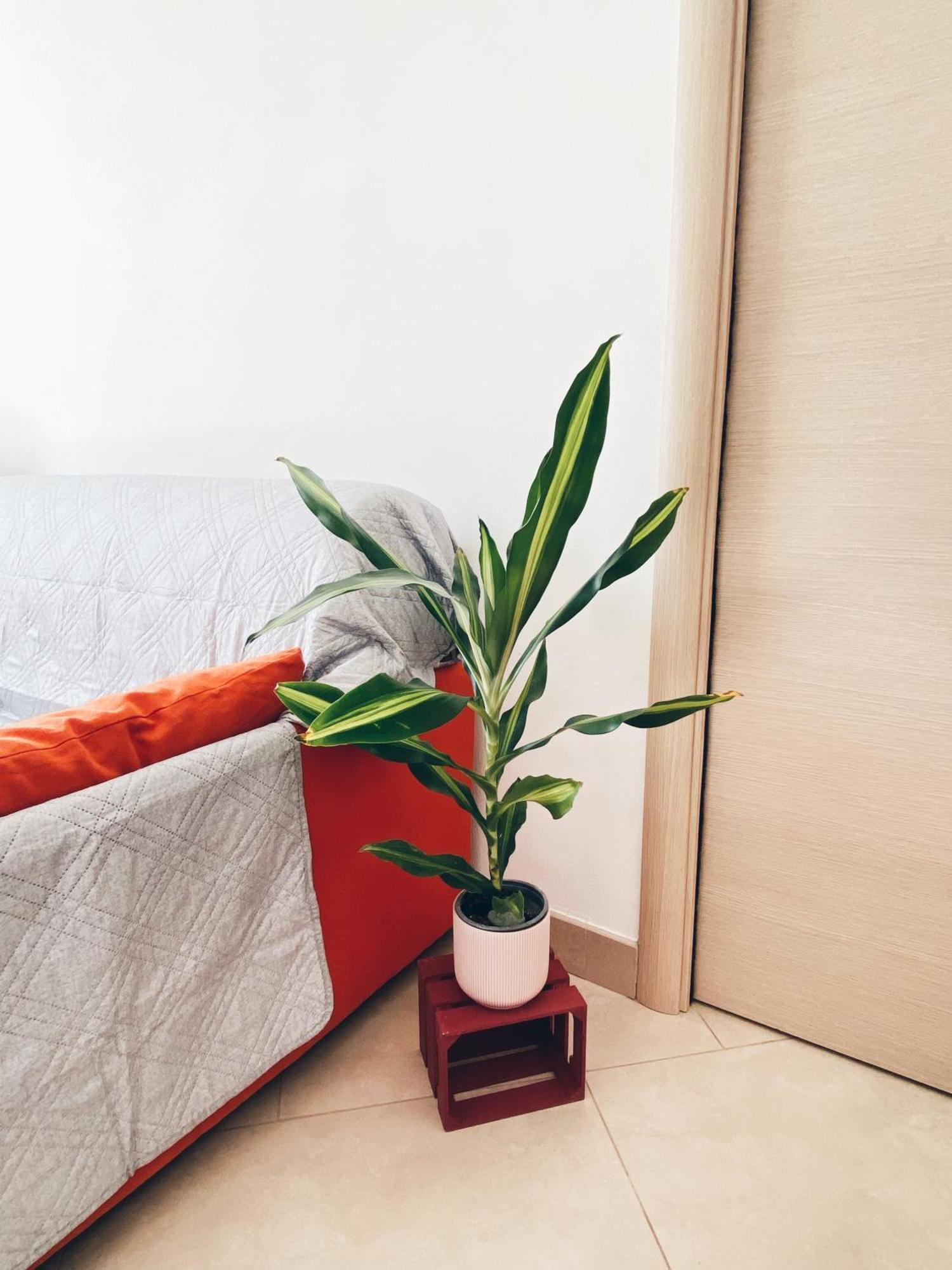Apartment In Siena With Private Parking 外观 照片